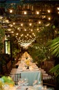 Italian String Lighting - 150' for Outdoor Cocktail Areas