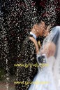 wedding couple...